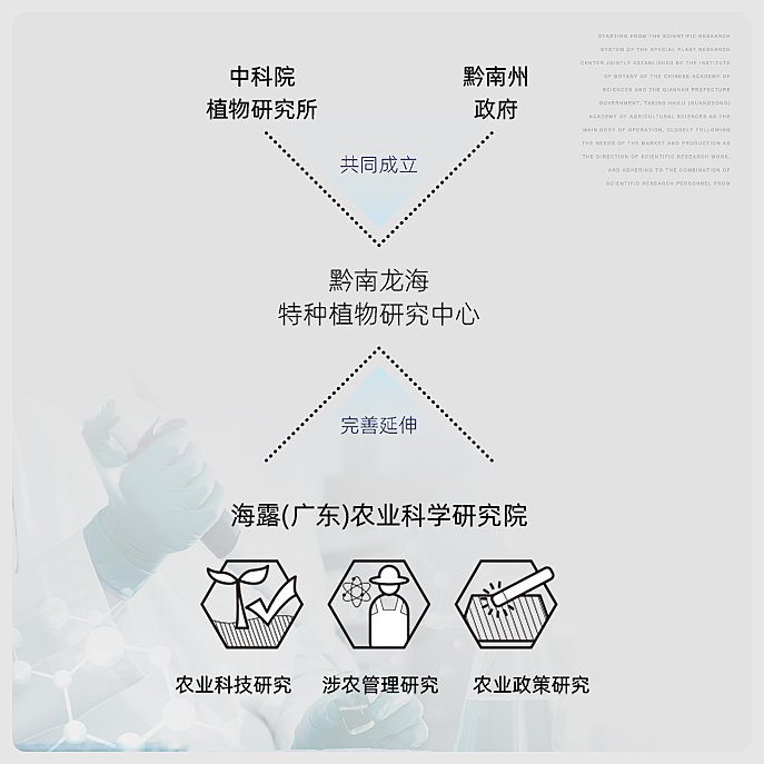 PP���ӡ�������(������Ϸ)�ٷ���վ